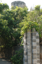 Gallery Image 34